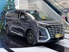 Denza BYD Denza D9 DM-i Smart Drive 1020 Four-Wheel Drive Premium - ფოტო 3