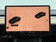 Tesla Model 3 2022 Rear-Wheel Drive - ფოტო 14