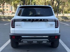 Great Wall Dachshund 2.0T DCT Four-Wheel Drive Chinese Rural Dog Edition - ფოტო 12