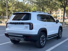 Great Wall Dachshund 2.0T DCT Four-Wheel Drive Chinese Rural Dog Edition - ფოტო 13