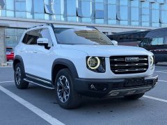 Great Wall Dachshund 2.0T DCT Four-Wheel Drive Chinese Rural Dog Edition - ფოტო 3