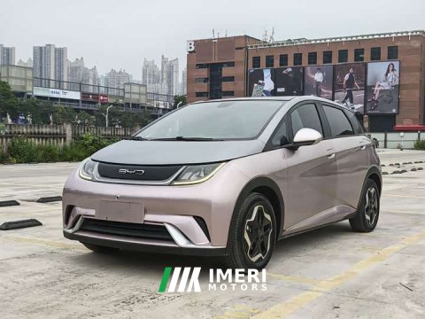 2022 BYD Dolphin 405km Fashion Edition - ავტომობილი ჩინეთიდან