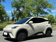 BYD Seagull 2025 305km Vitality Edition - ფოტო 1