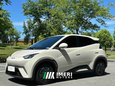 2024 BYD Seagull 2025 305km Vitality Edition - ავტომობილი ჩინეთიდან