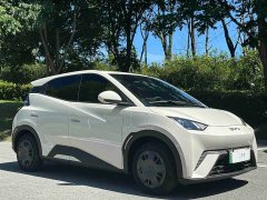 BYD Seagull 2025 305km Vitality Edition - ფოტო 3