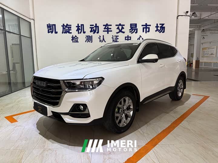 Haval H6 2021 National Trend 1.5T Automatic Champion Edition - ავტომობილი ჩინეთიდან