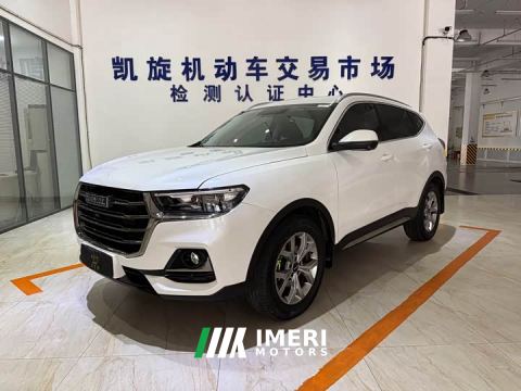 2023 Haval H6 National Trend 1.5T Automatic Champion Edition