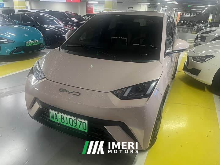 BYD Seagull Vitality Edition - ავტომობილი ჩინეთიდან