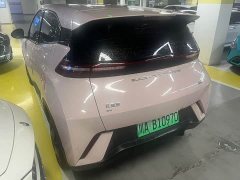 BYD Seagull Vitality Edition - ფოტო 10