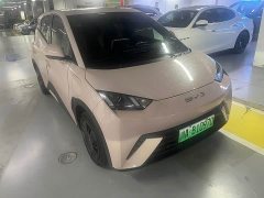 BYD Seagull Vitality Edition - ფოტო 3