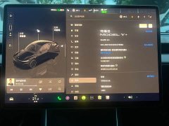 Tesla Model Y Long Range Rear-Wheel Drive - ფოტო 6
