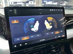 GAC Aion GS8 Pioneer Series 2.0T GDI AWD Luxury 7-Seater - ფოტო 11