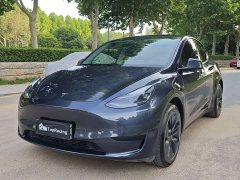 Tesla Model Y Rear-Wheel Drive - ფოტო 1