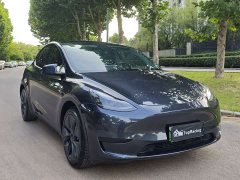 Tesla Model Y Rear-Wheel Drive - ფოტო 3