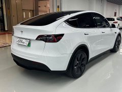 Tesla Model Y 2023 Rear-Wheel Drive - ფოტო 16