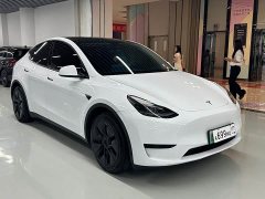 Tesla Model Y 2023 Rear-Wheel Drive - ფოტო 3