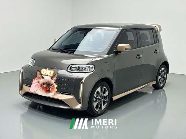 ORA White Cat Little Wildcat 360km Luxury Ternary Lithium - ავტომობილი ჩინეთიდან