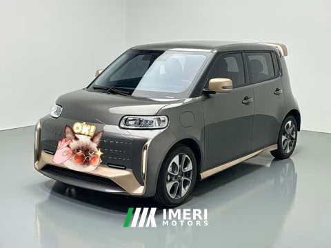 2022 ORA White Cat Little Wildcat 360km Luxury Ternary Lithium - ავტომობილი ჩინეთიდან
