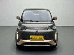 ORA White Cat Little Wildcat 360km Luxury Ternary Lithium - ფოტო 2