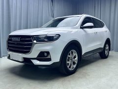 Haval H6 2021 National Trend 1.5T Automatic Champion Edition - ფოტო 1