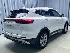 Haval H6 2021 National Trend 1.5T Automatic Champion Edition - ფოტო 18