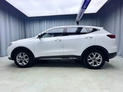 Haval H6 2021 National Trend 1.5T Automatic Champion Edition - ფოტო 4