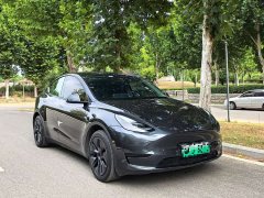 Tesla Model Y Rear-Wheel Drive - ფოტო 3