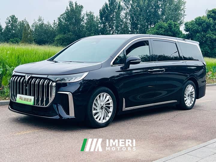Voyah Dream 2024 PHEV Extended Range Luxury Edition - ავტომობილი ჩინეთიდან
