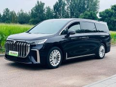 Voyah Dream 2024 PHEV Extended Range Luxury Edition - ფოტო 1