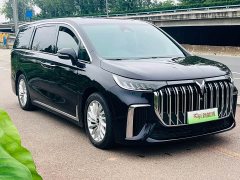Voyah Dream 2024 PHEV Extended Range Luxury Edition - ფოტო 3