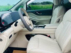 Voyah Dream 2024 PHEV Extended Range Luxury Edition - ფოტო 8