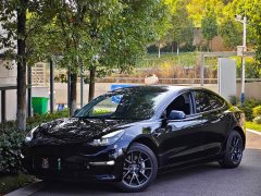 Tesla Model 3 Standard Range RWD Upgrade 3D6 - ფოტო 1