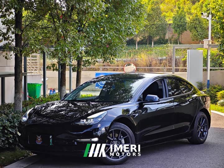 Tesla Model 3 Standard Range RWD Upgrade 3D6