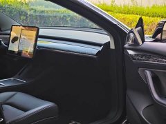 Tesla Model 3 Standard Range RWD Upgrade 3D6 - ფოტო 10