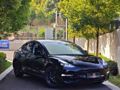 Tesla Model 3 Standard Range RWD Upgrade 3D6 - ფოტო 3