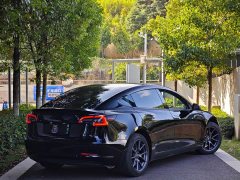 Tesla Model 3 Standard Range RWD Upgrade 3D6 - ფოტო 4