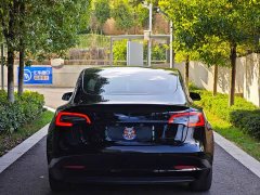 Tesla Model 3 Standard Range RWD Upgrade 3D6 - ფოტო 5