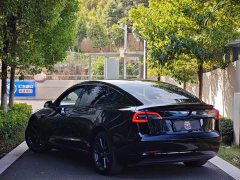 Tesla Model 3 Standard Range RWD Upgrade 3D6 - ფოტო 6