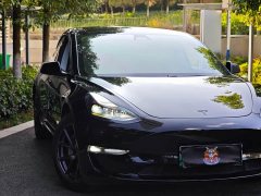 Tesla Model 3 Standard Range RWD Upgrade 3D6 - ფოტო 9