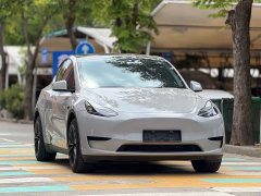 Tesla Model Y Rear-Wheel Drive - ფოტო 3