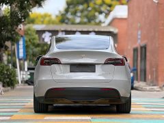 Tesla Model Y Rear-Wheel Drive - ფოტო 5