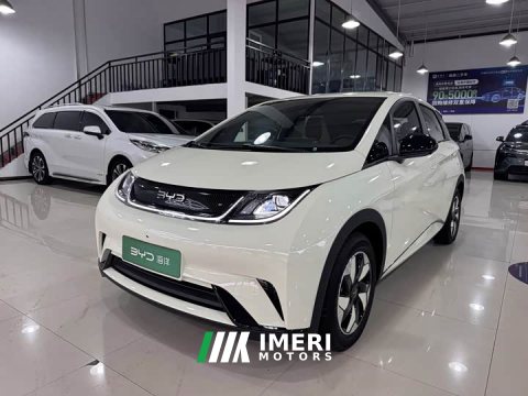 2026 BYD Dolphin 2025 420km Freedom Edition - ავტომობილი ჩინეთიდან