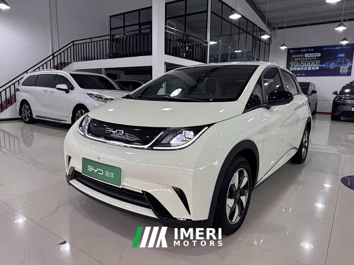 BYD Dolphin 420km Freedom Edition