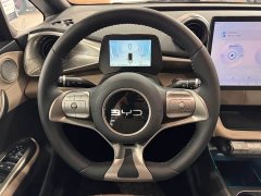 BYD Dolphin 2025 420km Freedom Edition - ფოტო 11