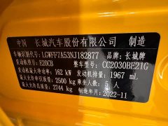 Tank 300 2022 2.0T Frontier Limited Edition - ფოტო 18