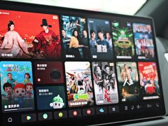 Li Auto L6 Max Smart Refresh Edition - ფოტო 7