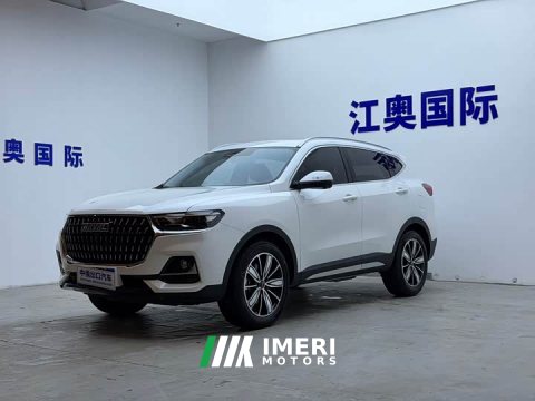 2023 Haval H6 National Trend Edition 1.5T Automatic Champion Version - ავტომობილი ჩინეთიდან