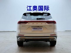 Haval H6 National Trend Edition 1.5T Automatic Champion Version - ფოტო 19