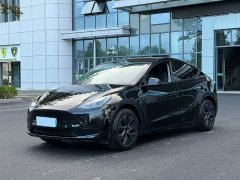 Tesla Model Y Rear-Wheel Drive - ფოტო 1