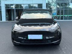 Tesla Model Y Rear-Wheel Drive - ფოტო 2